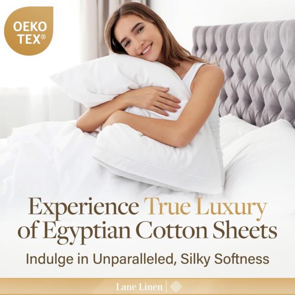 Egyptian Cotton Sheets King Size - 1000 - Image 3